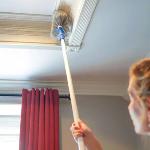 Palo telescopico Anbule per l'applicazione di spolverini 2