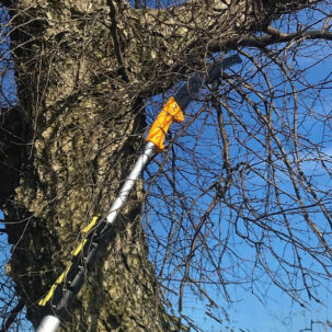 Anbule telescopico applicazione palo sega palo ramo tagliatore